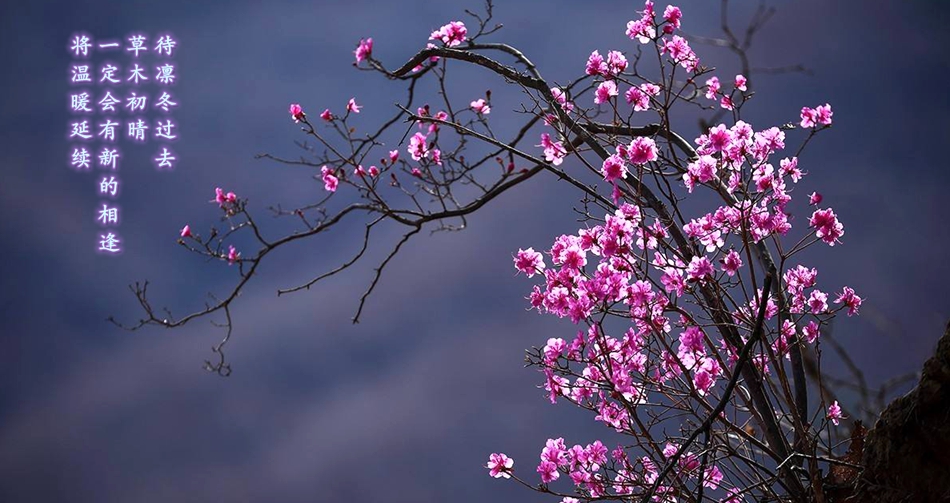 PG电子·(模拟器)游戏官网入口 -pgsoft-games